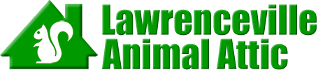 Lawrenceville Animal Attic